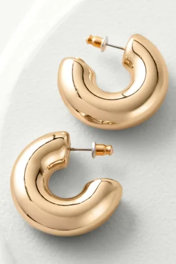 Soft Surroundings Julianna Hoop Earring